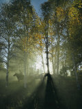 Horseback Riders in Morning Haze of Aspen Forest  Zion National Park  Utah