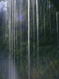 Dripping Water at Grotto Falls  Montana