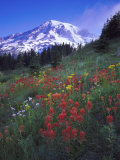 Mount Rainier National Park  USA