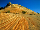 Layered Sandstone in Zion Canyon  Zion National Park  Utah  USA