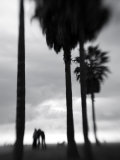 Venice Beach  Venice  Los Angeles  California  USA