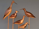 Shore Bird Decoys  USA