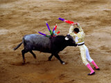 Bullfights  San Luis Potosi  Mexico