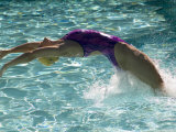 Young Woman Swimming the Backstroke in a Swimming Pool  Bainbridge Island  Washington  USA