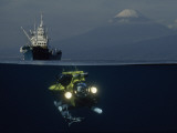 A Bifocal View Captures the Robot Searover in Little Explored Waters