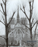 L'Abside de Notre-Dame  Paris