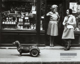 Le Chien a Roulettes  c1977