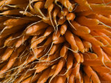 Fresh Carrots for Sale at Market in Helsinki  Finland