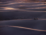 Dune Riders Leave Tracks on Sand Mountain