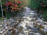The Sawyer River Races Through the Wooded Countryside