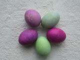 Dyed Easter Eggs are Arranged in a Circle