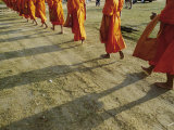 Buddhist Monks Walk Single File Down a Dirt Road