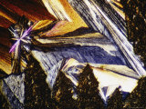Magnified View of Hypo Crystals