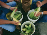 A Family Shucks Sweet Corn on Their Family Farm