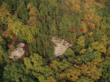 Autumn Colors on Piney Point