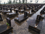 Vietnamese Cemetery
