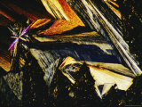 Magnified View of Hypo Crystals