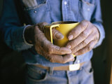A Close View of a Mans Weathered Hands