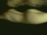 A Woman Swimming in the Nude