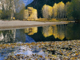 Autumn View Along the Merced River