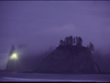 A Rocky Shoreline Shrouded in Fog