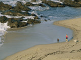 A Woman and Her Two Labrador Retrievers Run Along a Rocky Shoreline