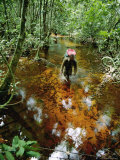 An Expedition Member Slogs Through a Swamp