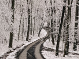 A Road Running Through Snow-Covered Woods