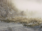 Yakut People Herding Reindeer