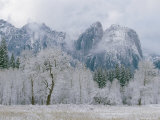 Cathedral Rocks and Trees after a Snowfall
