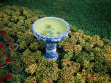 An Ornate Fishbowl Decorates the Garden of Suzhou