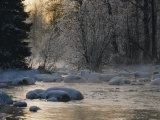 Beautiful View of a Stream Finding its Way Through Snowy Trees and Rocks in the Taiga