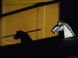 Low Sunlight Casts a Shadow of a Rocking Horse onto a Door