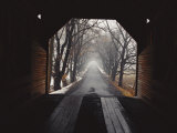 A View Down a Tree-Lined Road from Inside the Meems Bottom Bridge