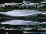 Rental Canoes Rest Beside the Suwanee Canal