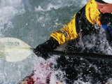 Man Kayaking a Rapid Called Iron Curtain
