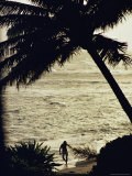 Silhouetted Man and Palm Tree