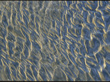 The Surf Leaves a Unique Pattern in the Sand