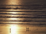 A Setting Sun Casts Golden Light over a Sandy Beach