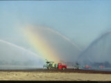 Water Sprayed from Irrigation Trucks Creates a Rainbow over a Tomato Farm