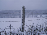 A Wire Fence Cordons off a Snow-Covered Field