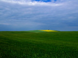 Fields and Sky