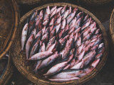 A Local Fishermans Catch on Sale at an Outdoor Market