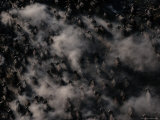 Aerial View of Stampeding Wildebeests