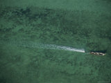 An Aerial View of a Boat Passing over Clear Green Water