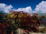 Lobster Traps are Stacked on the Shoreline