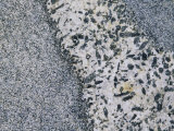 Close View of Gray and White Grain of Sierra Nevada Granite Rock
