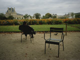 A Man Reads in the Tuileries Gardens