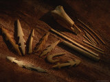 An Assortment of Ancient Harpoons and Other Tools from Hog Island