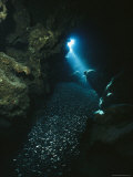 A Beam of Sunlight Illuminates an Underwater Cave